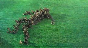 Squid – ‘BRIGHT GREEN FIELD’ – jerking and dancing in all directions at once