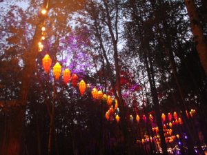 ELEMENTS MUSIC AND ARTS FESTIVAL 2025 Photography-Josh Wagner