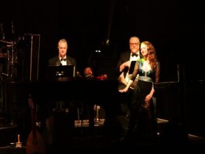 Mannhiem Steamroller, Photographer Josh Wagner