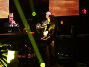 Mannhiem Steamroller, Photographer Josh Wagner