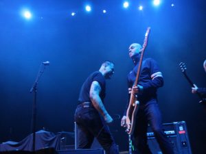 Slugger, photographer by Josh Wagner