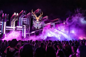 Elements 2026, photography by Leesa Almond